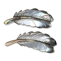 Black Lip Shell Natural Black Lip Shell Big Pendants, Feather Charms, 24~24.5x61.5~63x3.5~4.5mm, Hole: 1.8mm