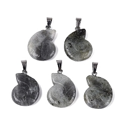 Labradorite Pendentifs labradorite naturelle, charmes de conque, avec cliquet en acier inoxydable, couleur inox, 27.5~29.5x20~23x5.5~8.5mm, Trou: 7x4mm