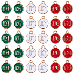 Mixed Color 60Pcs 3 Colors Zinc Alloy Enamel Pendants, Flat Round with Word Charms, Golden, Mixed Color, 18x14.5x1.9mm, Hole: 2mm, 20pcs/color 
