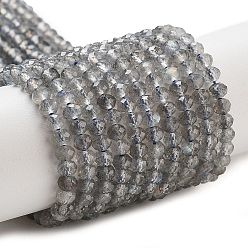 Лабрадорита Природные лабрадорита бисер нитей, граненые, рондель, 4x3 мм, отверстие : 0.8 мм, около 135 шт / нитка, 14.96'' (38 см)