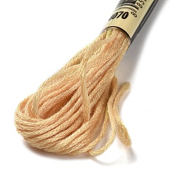 Dark Khaki 10 Skeins 6-Ply Polyester Embroidery Floss, Cross Stitch Threads, Segment Dyed, Dark Khaki, 0.5mm, about 8.75 Yards(8m)/skein