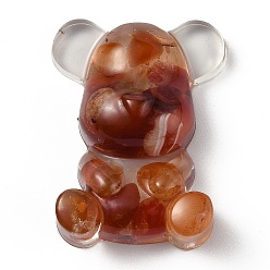 Красный Агат Украшения дисплей смолы, с натуральным красным агатом / сердоликом внутри, медведь, 53.5~53.8x41~41.5x17.5~21 мм