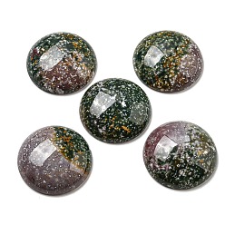 (RRHB277) Кристалл на подкладке из медово-бежевого цвета Природного индийского агата кабошонов, плоско-круглые, 30x7~8.5 мм