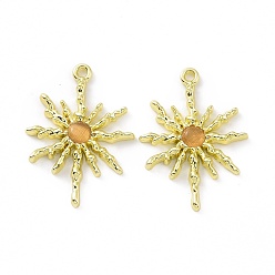 Оранжевый Подвески для кошачьего глаза из сплава, солнечные чары, золотые, оранжевые, 28.5x20.5x2.5 мм, отверстие : 1.6 мм