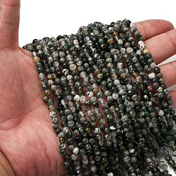 Мосс Агат Природные моховой агат бисер нитей, самородки, 5~9x4~6x3~4.5 мм, отверстие : 0.7 мм, около 75~89 шт / нитка, 15.35'' (39 см) ~ 15.94'' (40.5 см)