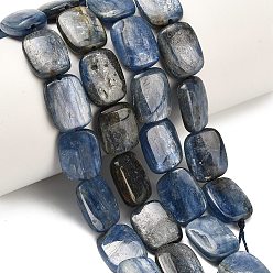 Кианит Натуральный кианитовые бисер пряди, прямоугольные, 15.5~16x12x4.5~5 мм, отверстие : 0.8 мм, около 25 шт / нитка, 15.35''~15.51'' (39~39.4 см)