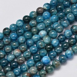 Apatite Natural Apatite Round Bead Strands, 6mm, Hole: 1mm, about 65pcs/strand, 15.5 inch