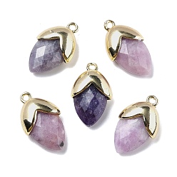 Лепидолит Подвески из натурального лепидолита, с золотой латуни нахождения, подвески в форме клубники, граненые, 19.5x12x6.5 мм, отверстие : 1.6 мм