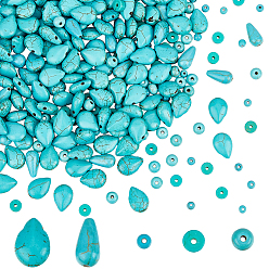 Бирюза 310шт. 5 стили наборов синтетических бирюзовых и хаулитовых бусин, окрашенные, разнообразные, бирюзовые, 4~14x4~14x3~7 мм, отверстие : 1 мм
