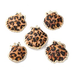Золотой Подвески натурального морских раковин, с латунной отделкой краев, подвески в форме ракушки с леопардовым принтом, золотые, 36~48x36~49x3~4 мм, отверстие : 1.8 мм