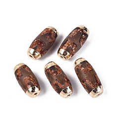 Tiger Pattern Бусины из агата дзи в тибетском стиле, природных бисера агат, окрашенные, баррель, с фурнитурой позолоченной латунной, золотые, седло коричневый, рисунок тигра, 25.5~29x12~12.5 мм, отверстие : 1.5~1.8 мм