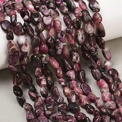 Турмалин Натуральный сливовый цвет турмалиновый бисер пряди, самородки, упавший камень, 6~12x5~7x3.5~4.5 мм, отверстие : 0.7~0.8 мм, около 21~24 шт / нитка, 7.87''~8.39'' (20~21.3 см)