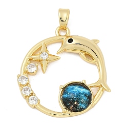 Dolphin Латунный микропаве, прозрачный кубический цирконий со стеклянными подвесками, без кадмия и без свинца, реальный 18 k позолоченный, дельфин, 25.5x24.5x4.5 мм, отверстие : 5x2.5 мм
