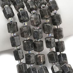 Larvikite Натуральные нити бус из ларвикита, шестиугольник, с бисером, 9.5~10.5x8~8.5x9~9.5 мм, отверстие : 1~1.2 мм, около 30 шт / нитка, 15.16''~15.94'' (38.5~40.5 см)