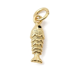 Настоящее золото 18K Латунные микро проложить кубического циркония подвески, с целью перехода в кольце, рыбы прелести, стойки покрытие, долговечный, без свинца и без кадмия, реальный 18 k позолоченный, 14.5x4.5x3.5 мм, отверстие : 3.5 мм