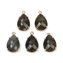 Лабрадорита Ограненные подвески из натурального лабрадорита, покрытие стойки латунные подвески-капли, золотые, 22x13x6 мм, отверстие : 1.6 мм