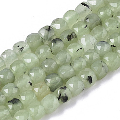 Prehnite Natural Prehnite Beads Strands, Faceted, Cube, 5~5.5x5~5.5x5~5.5mm, Hole: 1.2mm, about 70pcs/strand, 14.96 inch(38cm)