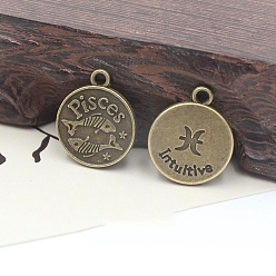 Рыбы Подвески в тибетском стиле , плоские круглые с двенадцати созвездий, античная бронза, Рыбы, 19 мм