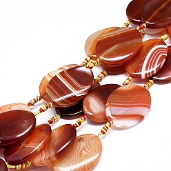 Шоколадный Натуральный полосатый агат / полосатые агатовые бусы, окрашенная и подогревом, витых овальных, цвет шоколада, 39~41x29~31x5~7 мм, отверстие : 1.8 мм, около 8 шт / нитка, 15.94 дюйм (40.5 см)