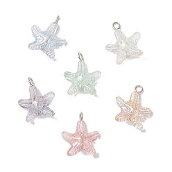 Платина Прозрачные акриловые подвески, морская звезда, платина, 22.5x19x9 мм, отверстие : 2.5 мм