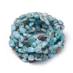 Larimar Natural Larimar Stretch Beaded Bracelets, Tumbled Stone, Nuggets, 1-7/8 inch~2-1/8 inch(4.8~5.5cm), Beads: 6~15x6~11x3~11mm