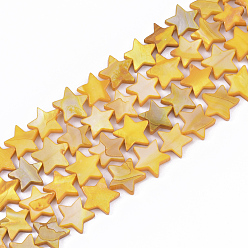 Золотистый Пресноводных оболочки бисер нитей, окрашенные, звезда, золотые, 12x12.5x3 мм, отверстие : 1 мм, около 35 шт / нитка, 15.55 дюйм (39.5 см)