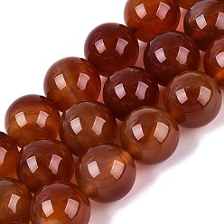 Red Agate Натуральный красный агат бисер нитей, гладкий круглый, окрашенная и подогревом, 15.5~16 мм, отверстие : 0.8~1 мм, около 25 шт / нитка, 15.16~15.55 дюйм (38.5~39.5 см)