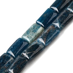 Апатит Природного апатита нитей бисера, прямоугольные, 12.5x8.5x4.5 мм, отверстие : 0.9 мм, около 32 шт / нитка, 15.87'' (40.3 см)