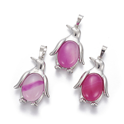 Натуральный Агат Природные подвески агат, с латунной фурнитурой , пингвин, платина, ярко-розовый, 34~35x24~25x5~8 мм, отверстие : 8x5 мм