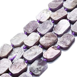 Lépidolite Perles naturelles de perles de lépidolite, rectangle, 15~17x10~13x5~7mm, Trou: 1mm, Environ 22 pcs/chapelet, 15.94'' (40.5 cm)