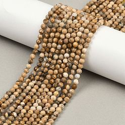 Пейзажный Джаспер Естественного изображения яшмы бисер нитей, граненые, круглые, 4 мм, отверстие : 0.6 мм, около 90 шт / нитка, 14.96'' (38 см)