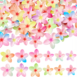 (52) Непрозрачная лаванда 72шт 12 стили пластиковые кабошоны, цветок, разноцветные, 21~27x22~30x6~6.5 мм, 6 шт / стиль