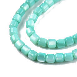 Turquoise Natural Freshwater Shell Beads Strands, Dyed, Column, Turquoise, 3.5x3.5mm, Hole: 0.8mm, about 110~113pcs/strand, 14.69 inch~15.08 inch(37.3~38.3cm)