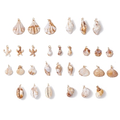 Золотой 30 шт 10 стили акриловые подвески, подвески в форме ракушки/морской звезды, с 304 кольцами из нержавеющей стали, золотые, 23.5~41x10.5~30x5~15 мм, отверстие : 5 мм, 3 шт / стиль