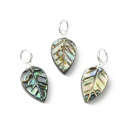 Серебро Подвески из натуральной раковины морского ушка/морского ушка, лист прелести, с 304 результатами из нержавеющей стали и латуни, серебряные, 15x8x3.5 мм, отверстие : 3.6 мм