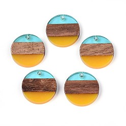 Золотистый Подвески из смолы и ореха, плоско-круглые, золотые, 18.5x3.5 мм, отверстие : 2 мм