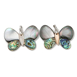 Платина Покрытие стойки латунное паве из натуральных ракушек пауа и подвески из белых ракушек, бабочки прелести, платина, 34x48.5x3 мм, отверстие : 5 мм