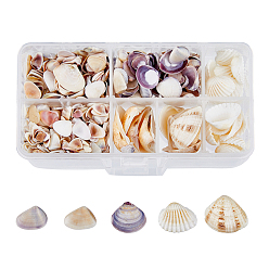 (52) Непрозрачная лаванда 5 стили бусины из ракушек, неочищенные / без отверстий, разноцветные, 5~25 мм