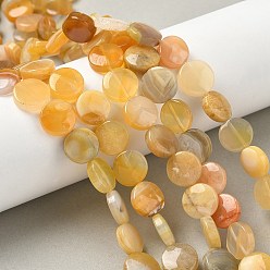 (946FM) Цитрин матовый с зеленой подкладкой Натуральные бусины из желтого ботсванского агата, плоско-круглые, 12~12.5x4~5 мм, отверстие : 1 мм, около 33 шт / нитка, 15.55 дюйм (39.5 см)