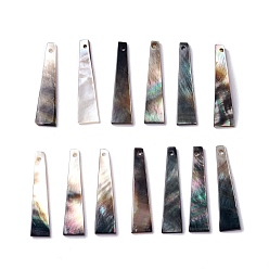 черная губная раковина Оболочки губ натуральный черный подвески, трапециевидные подвески, 30x7x1 мм, отверстие : 1 мм