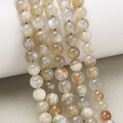 Grey Moonstone Натуральные серые бусины из лунного камня, гладкий круглый, 6~6.5 мм, отверстие : 0.7 мм, около 61~66 шт / нитка, 15.55'' (39.5 см) ~ 15.75'' (40 см)