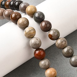 Пейзажный Джаспер Естественного изображения яшмы бисер нитей, круглые, 8.5 мм, отверстие : 0.8 мм, около 46 шт / нитка, 15.20'' (38.6 см)