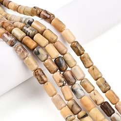 Желтый Опал Природные желтые опал бусины пряди, баррель, 9.5~10.5x6~7 мм, отверстие : 0.7 мм, около 38 шт / нитка, 15.16~15.35 дюйм (38.5~39 см)