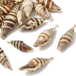 Chocolate Brass & Natural Shell Pendants, Conch Shape Charms, with Golden Plated Edge, Chocolate, 35~42.5x11~13x10~12mm, Hole: 1.8mm