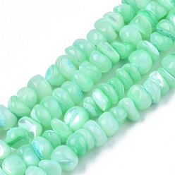 Аквамарин Природные морские раковины бисер нитей, окрашенные, чипсы, аквамарин, 6~18.5x5~10x2.5~7 мм, отверстие : 0.5~0.7 мм, около 97~105 шт / нитка, 15.55 дюйм ~ 15.98 дюйм (39.5 см ~ 40.6 см)