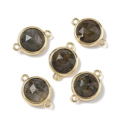 Лабрадорита Латунный паве натуральный лабрадорит граненый плоский круглый соединительный элемент подвески, стойки покрытие, долговечный, золотые, 12x17.5x5.5 мм, отверстие : 1.4 мм