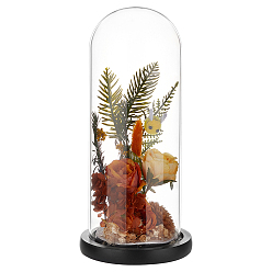 Black Arch Glass Dome Cover, Decorative Display Case, Cloche Bell Jar Terrarium with Wood Base, Black, 122x265mm