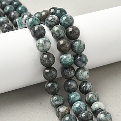 Dioptase Пряди натуральных диоптазных бусин, круглые, 10 мм, отверстие : 1 мм, около 38 шт / нитка, 14.96'' (38 см)