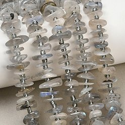 Labradorite Natural Labradorite Beads Strands, Nuggets, 7.5~13x6~13x2~5mm, Hole: 0.9mm, about 68~86pcs/strand, 15.35~15.75''(39~40cm)