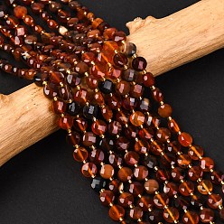 Красный Агат Природного сердолика нитей бисера, с бисером, граненые, плоско-круглые, 6~6.5x4 мм, отверстие : 1 мм, около 50 шт / нитка, 15.35'' (39 см)